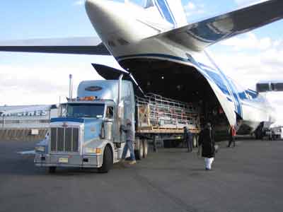 international shifting